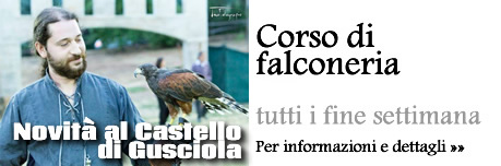 Corso Falconeria